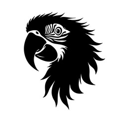 eagle head black and white icon image Vector Image