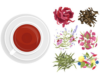 Herbal tea set cartoon flat vector