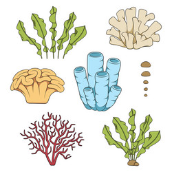 set of color with corals and algae vector image
