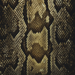 Snakeskin Texture - Rustic Pattern vector