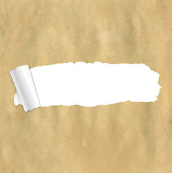 package paper torn vector