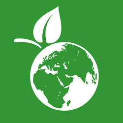 globe with leaf isolated on green background vector image