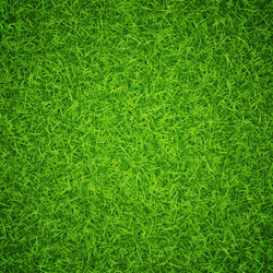 Green grass background Royalty Free Vector Image