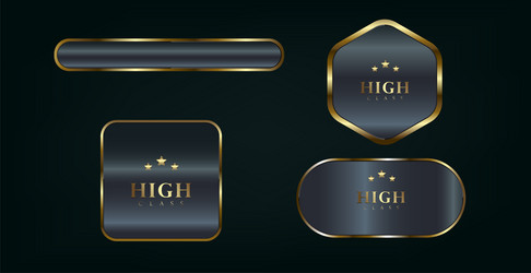 set of four different shapes luxury circle button vector image