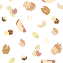 Assorted Nuts Seamless Pattern vector image