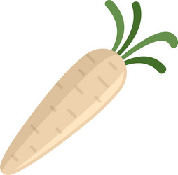 botanical parsnip icon flat isolated vector