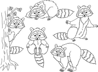 Adorable Raccoon Collection Vector Image