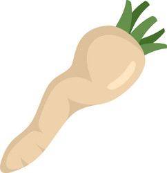 cooking parsnip icon flat isolated vector image