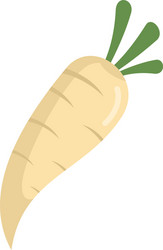 diet parsnip icon flat isolated vector image