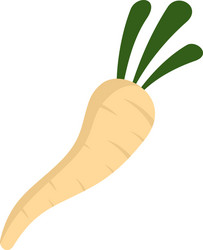 culinary parsnip icon flat isolated vector image