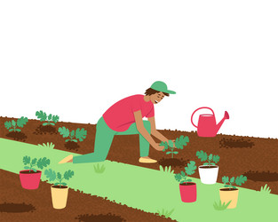 A farmer man is planting watermelon sprouts vector