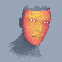 head of the person from a 3d grid human vector image