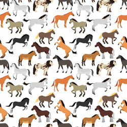 Seamless pattern with horse in flat style vector