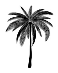 Coconut palm tree icon simple style Royalty Free Vector