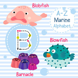 Letter b tracing blowfish blobfish barnacle vector