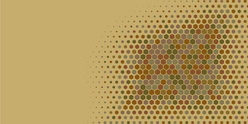 geometric multi size hexagon with color vector