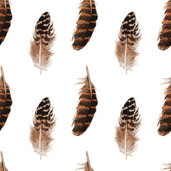 Feather seamless background Royalty Free Vector Image