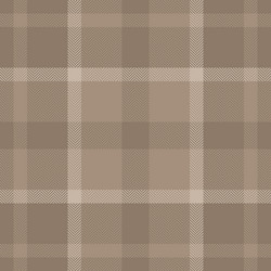 plaid pattern check of background textile vector