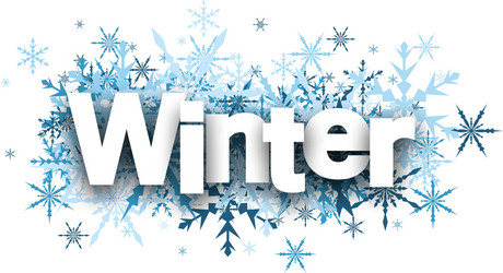 Winter Snowflake Background Vector Image