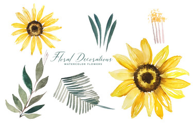 set of watercolor sunflower and leaves decoration Vector Image