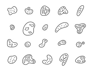 abstract shape set with curved and different vector image