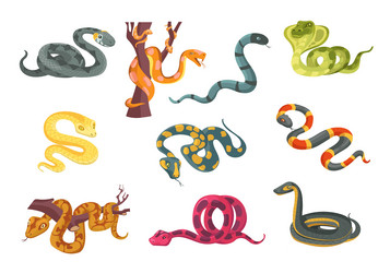 colorful poisonous snakes cartoon suffocating vector