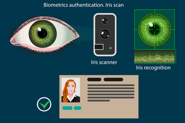 iris scan - biometric authentication method vector