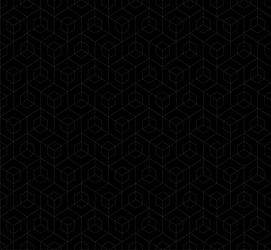 black linear abstract cube pattern vector image