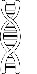 Dna molecule structure science genetic vector