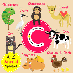 Letter c tracing camel cat capybara chameleon vector