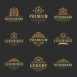 Luxury Monogram & Ornate Frames Vector Image