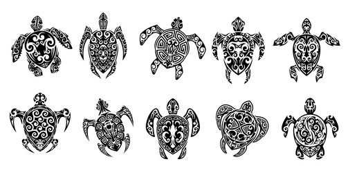 maori tribal turtle reptile animal tattoo signs Vector Image