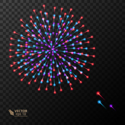 Colorful firework explosion on transparent Vector Image