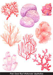 Pink Coral Reef Sponge Watercolor Vector Image