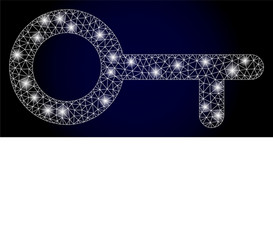 bright polygonal network key with lightspots vector image
