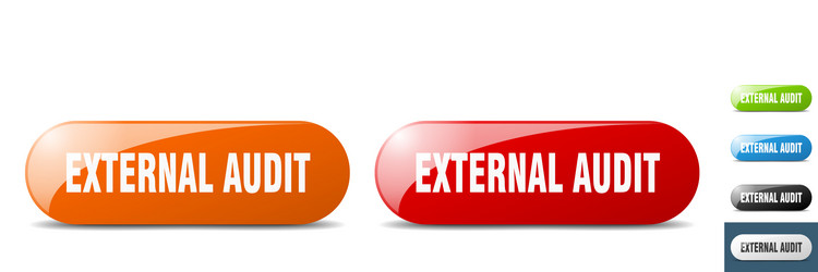 external audit button key sign push set vector image