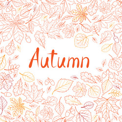 Autumn Leaf Pattern - Seamless Vector Image