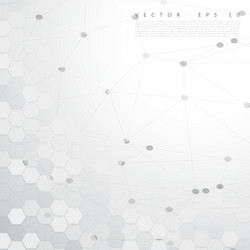 abstract color 3d hexagonal vector image
