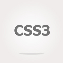 css style web icon isolated on white vector image