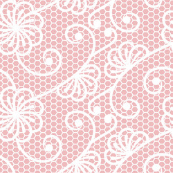 Background with white lace pattern Royalty Free Vector Image