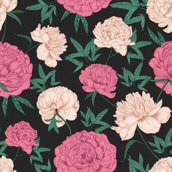 Peony Floral Seamless Pattern Vector Image