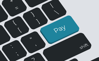pay button on keyboard keys simple style vector image