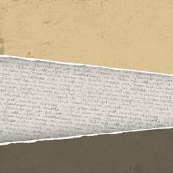 Torn Paper Background with Script vector