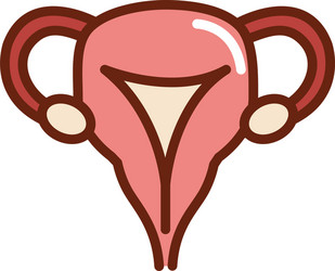 Human body female reproductive system anatomy vector