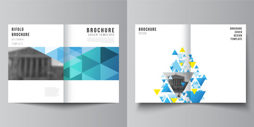 Layout of two a4 format cover mockups vector