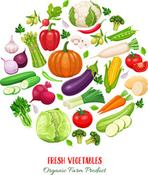 poster round composition with colorful vegetables vector