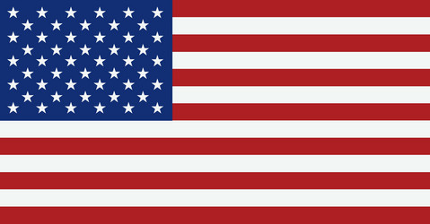 United States Flag Vector Image