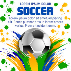 Soccer Ball Brazil Flag Poster vector image