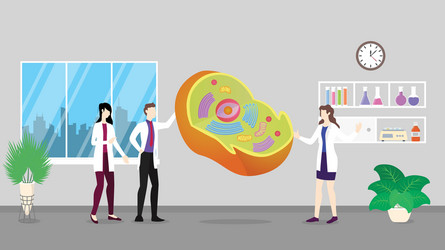 Cell Organelles Structure Royalty Free Vector Image