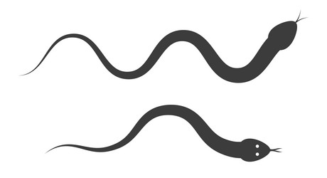 Simple cute snake and apple silhouette icon flat Vector Image